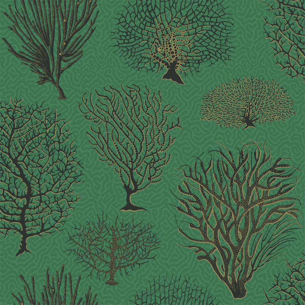 Cole & Son Seafern Wallpaper