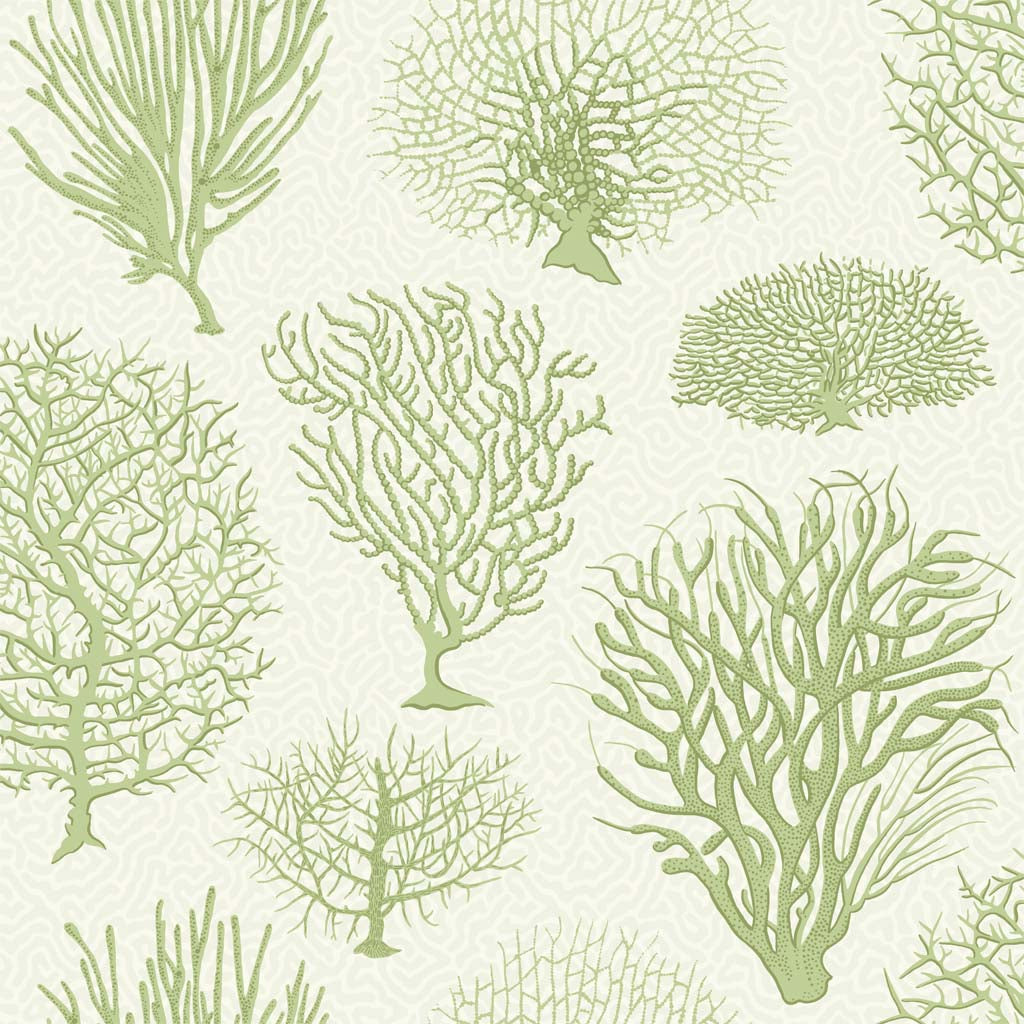 Cole & Son Seafern Wallpaper