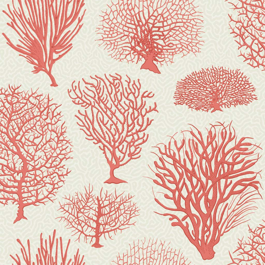 Cole & Son Seafern Wallpaper