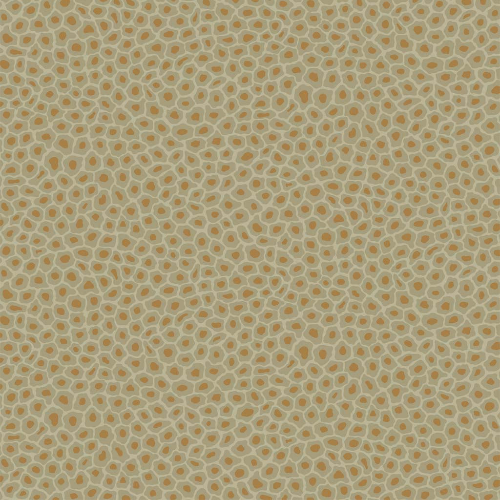 Cole & Son Senzo Spot Wallpaper