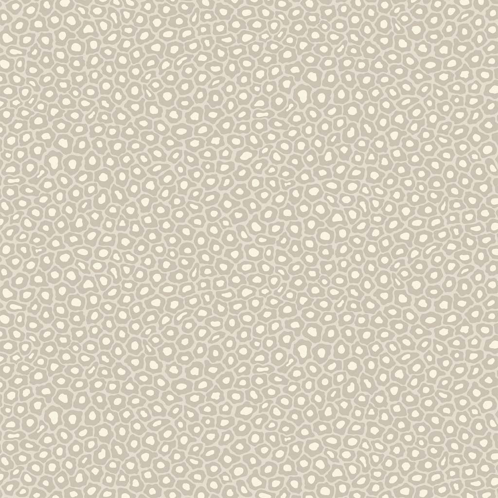 Cole & Son Senzo Spot Wallpaper
