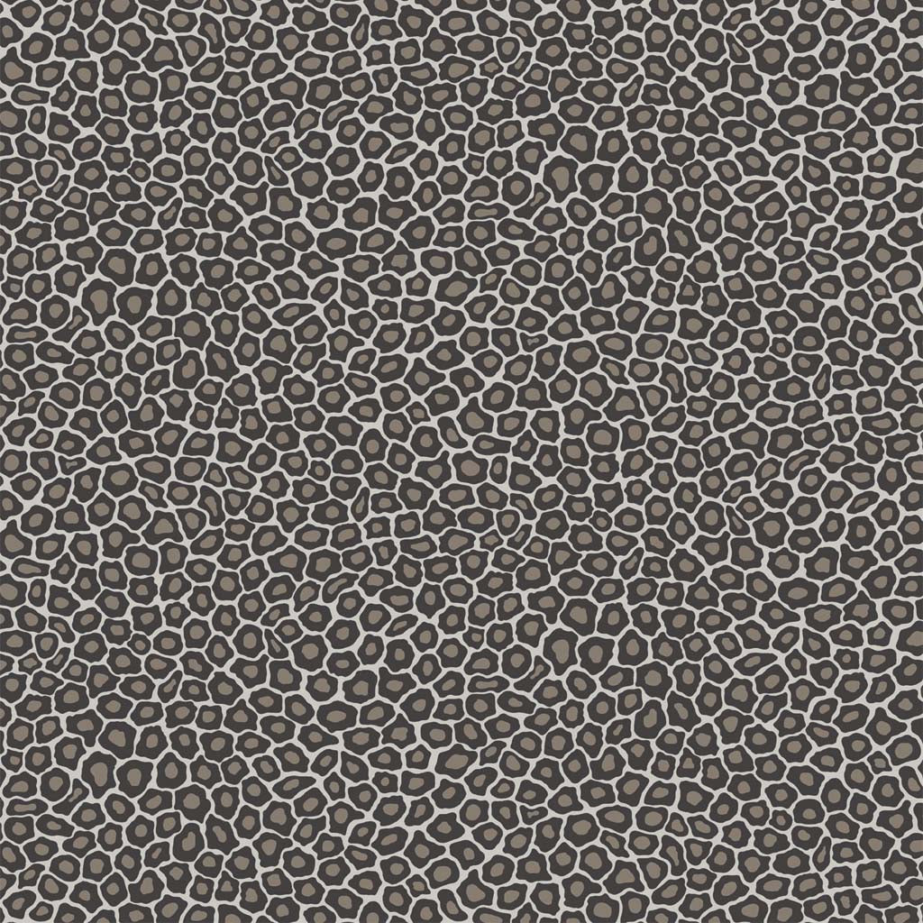 Cole & Son Senzo Spot Wallpaper