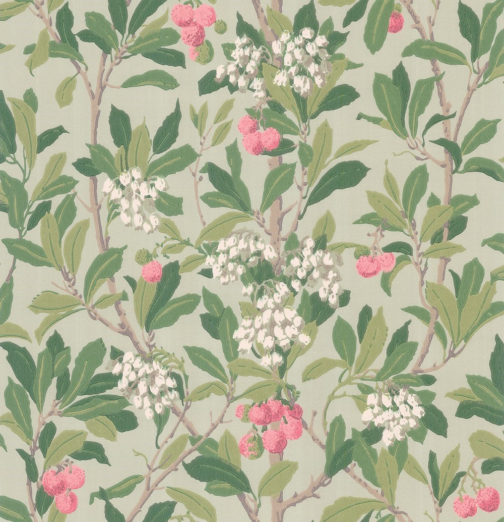 Cole & Son Strawberry Tree Wallpaper