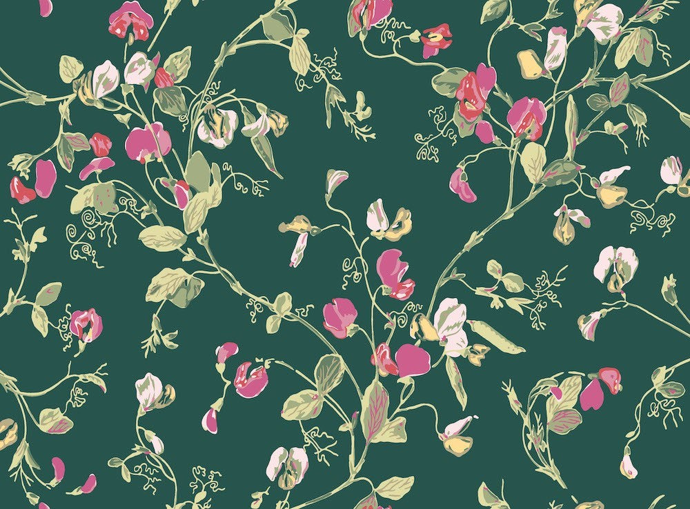 Cole & Son Sweet Pea Wallpaper