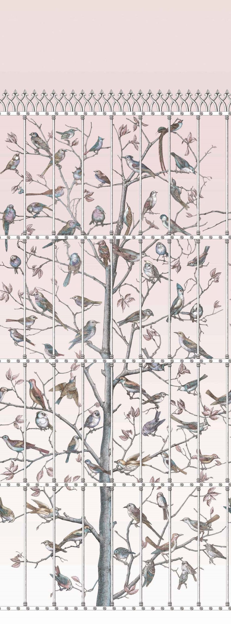 Cole & Son Uccelli Wallpaper