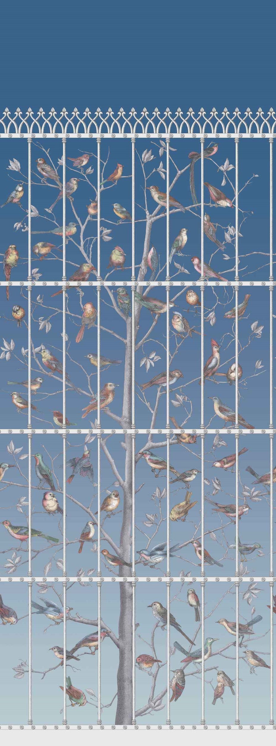 Cole & Son Uccelli Wallpaper