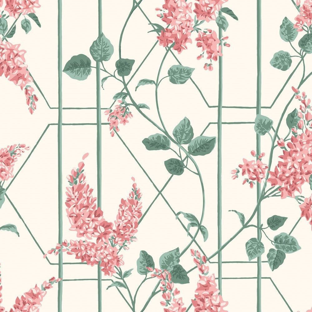 Cole & Son Wisteria Wallpaper