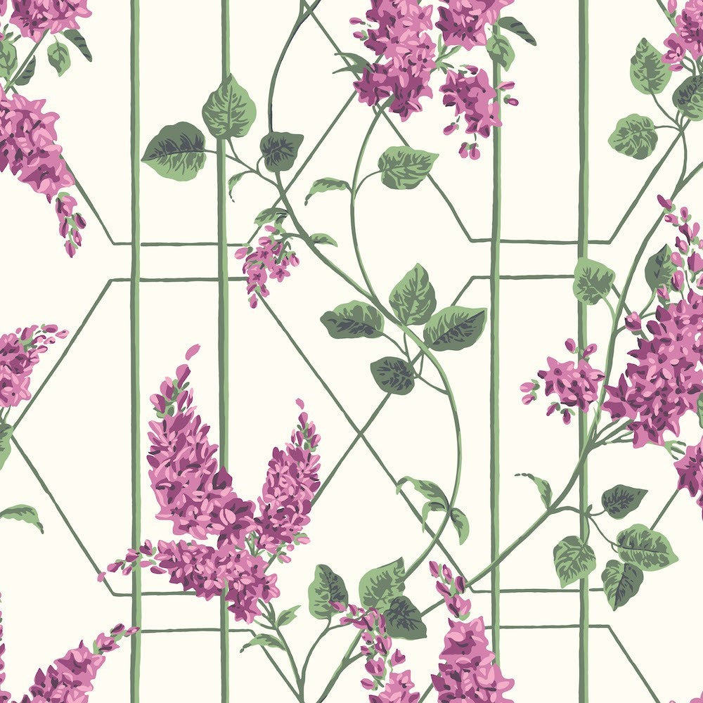 Cole & Son Wisteria Wallpaper