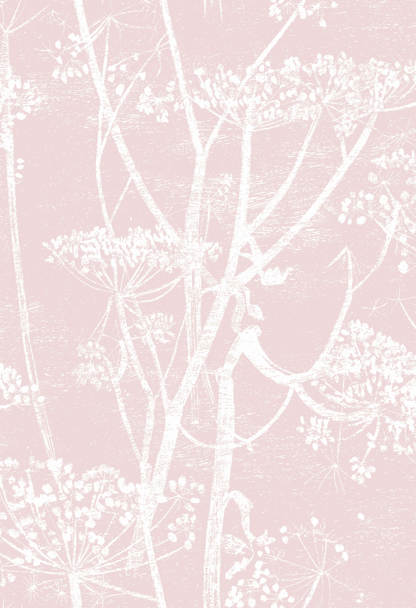 Cow Parsley Fabric F111/5018 By Cole & Son