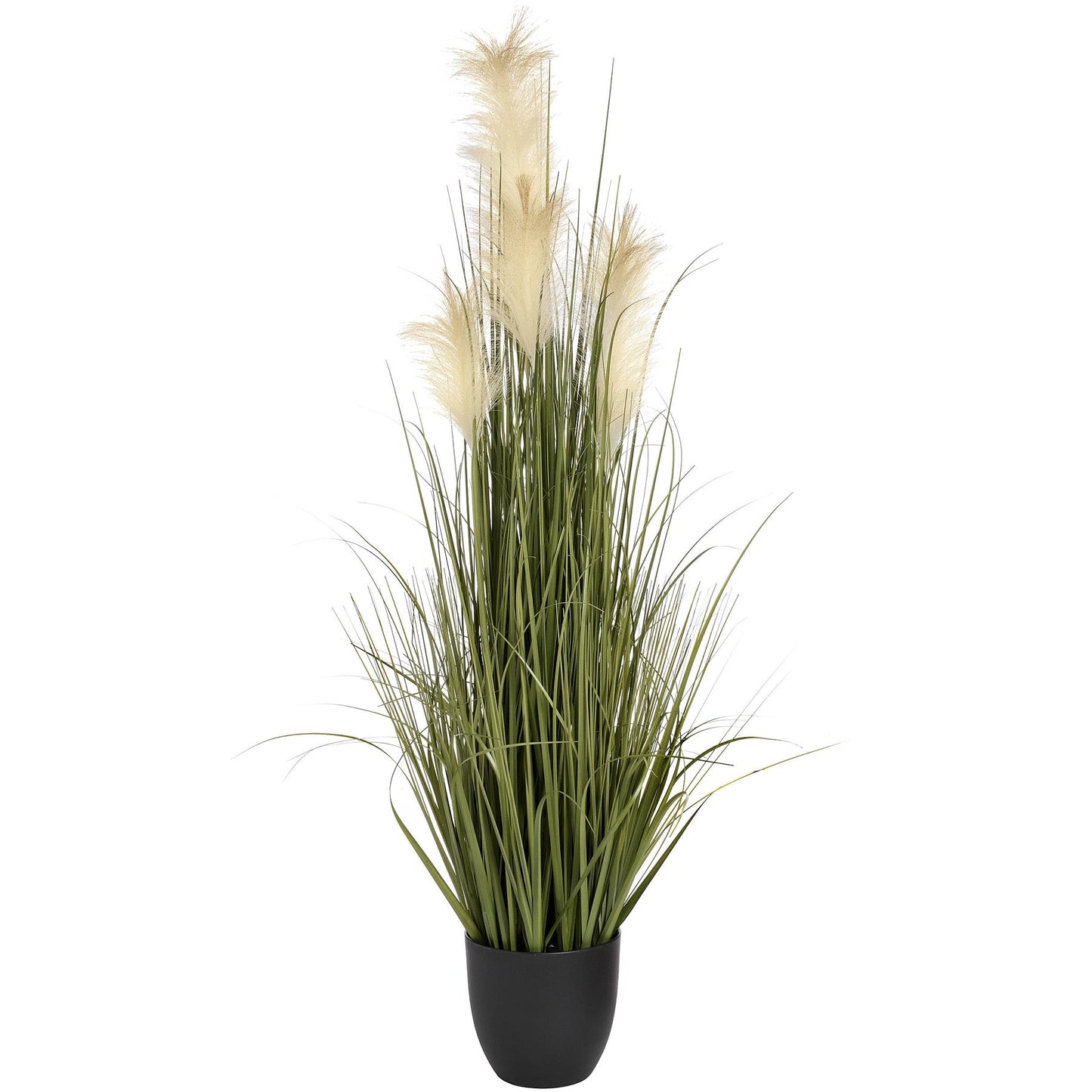Pampas Grass Bush (18996) By Hill Interiors