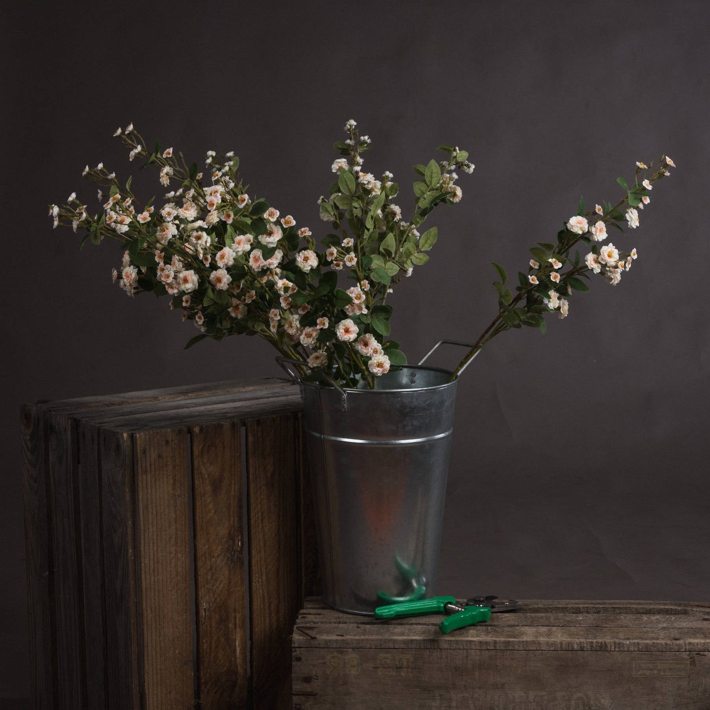 Cream Wild Meadow Rose (19043) By Hill Interiors