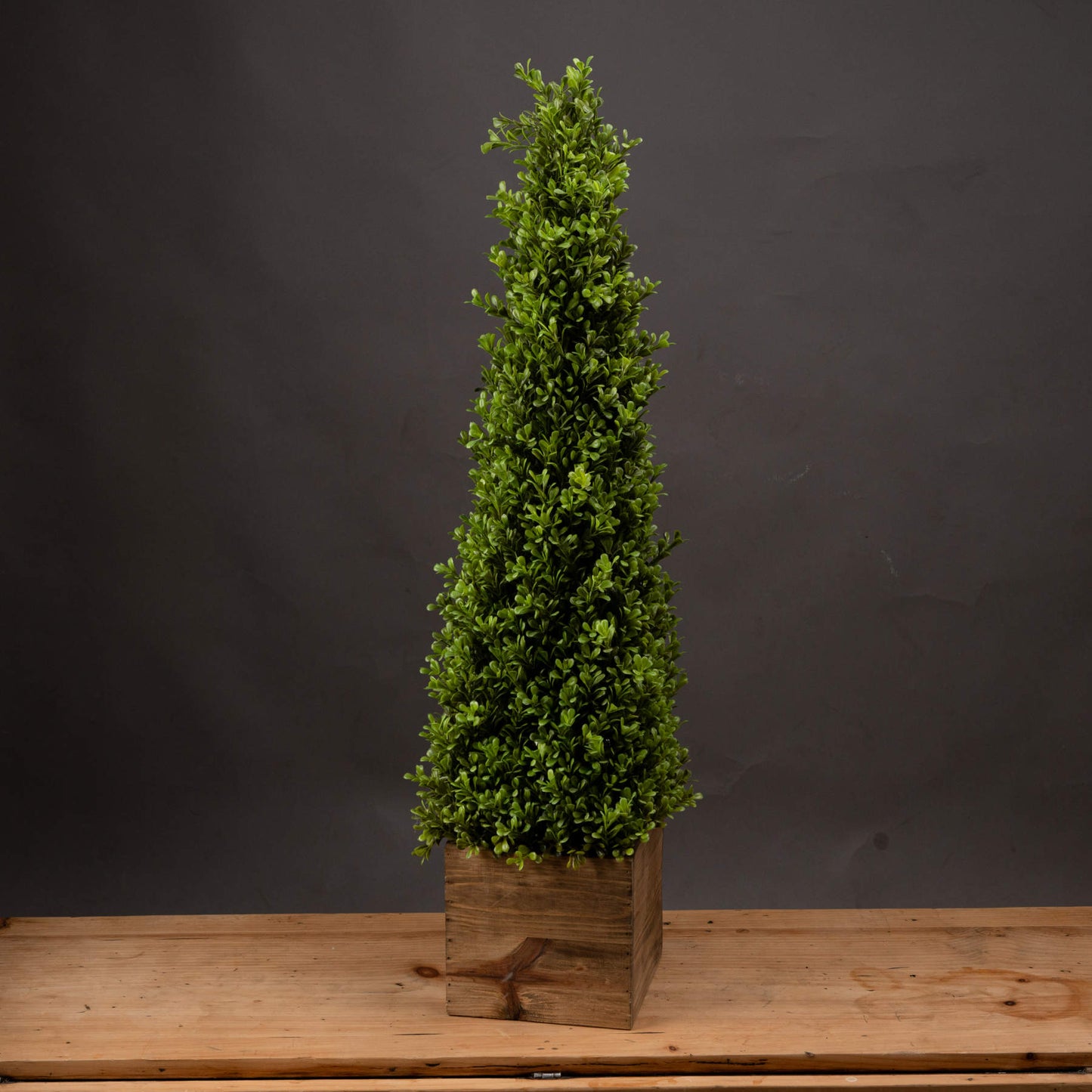 Large Topiary Pyramid (19630) By Hill Interiors
