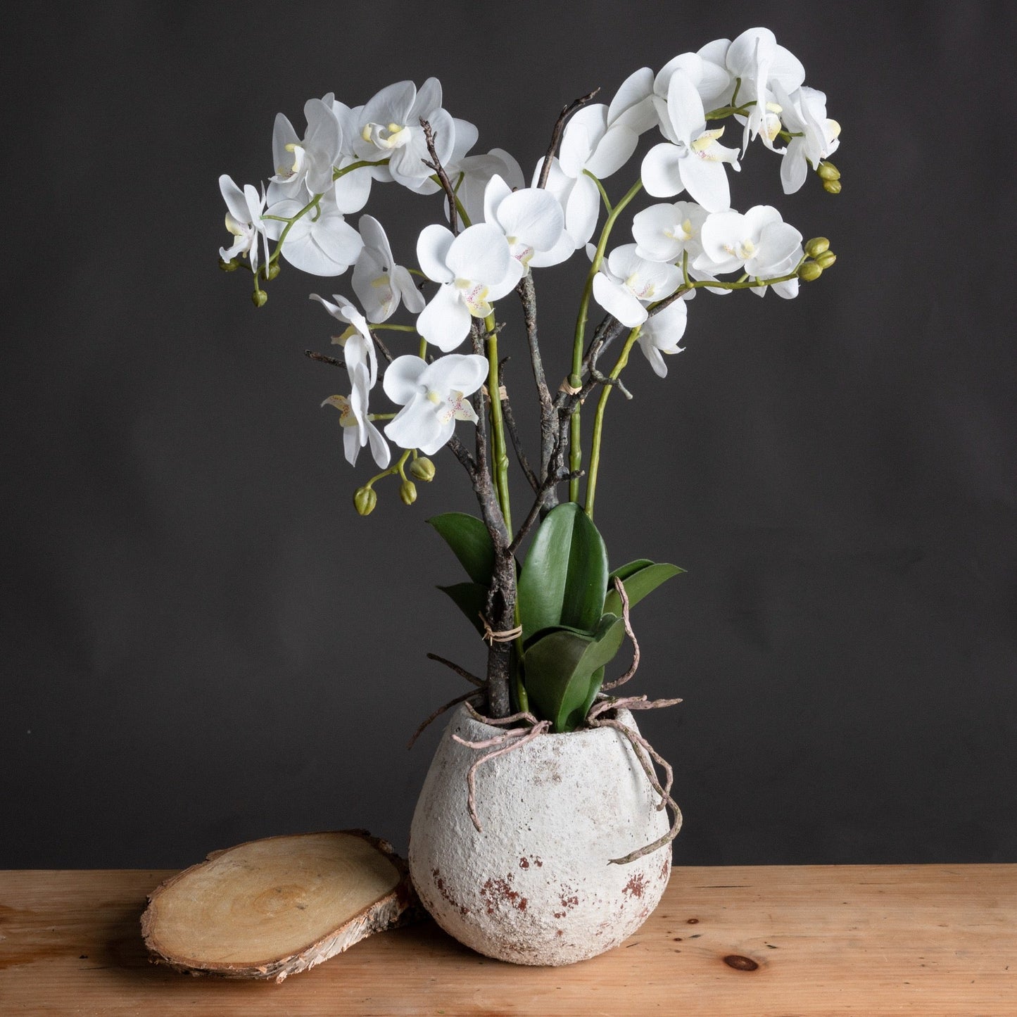 White Orchid In Stone Pot (19956) By Hill Interiors
