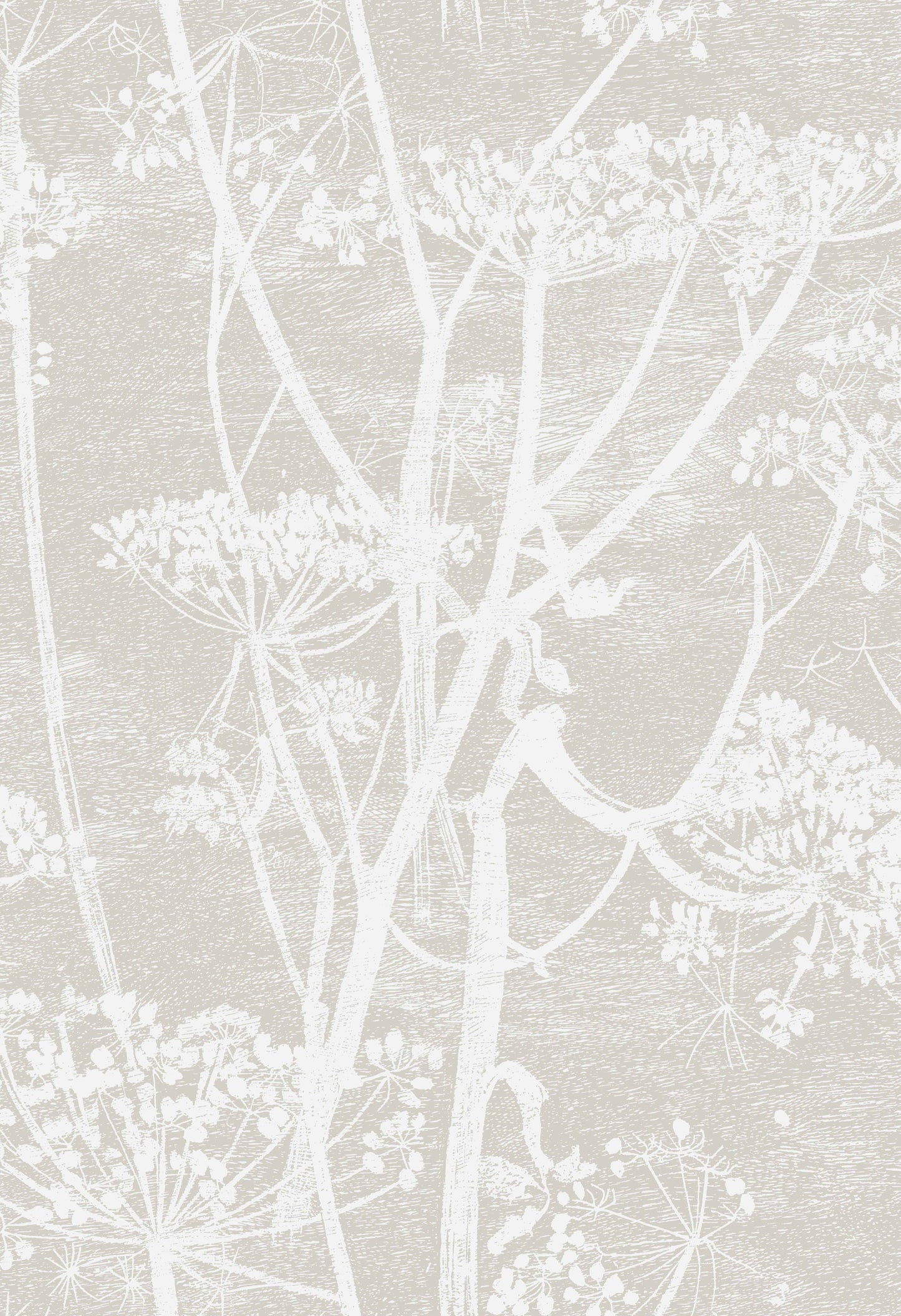 Cow Parsley Fabric F111/5019 By Cole & Son