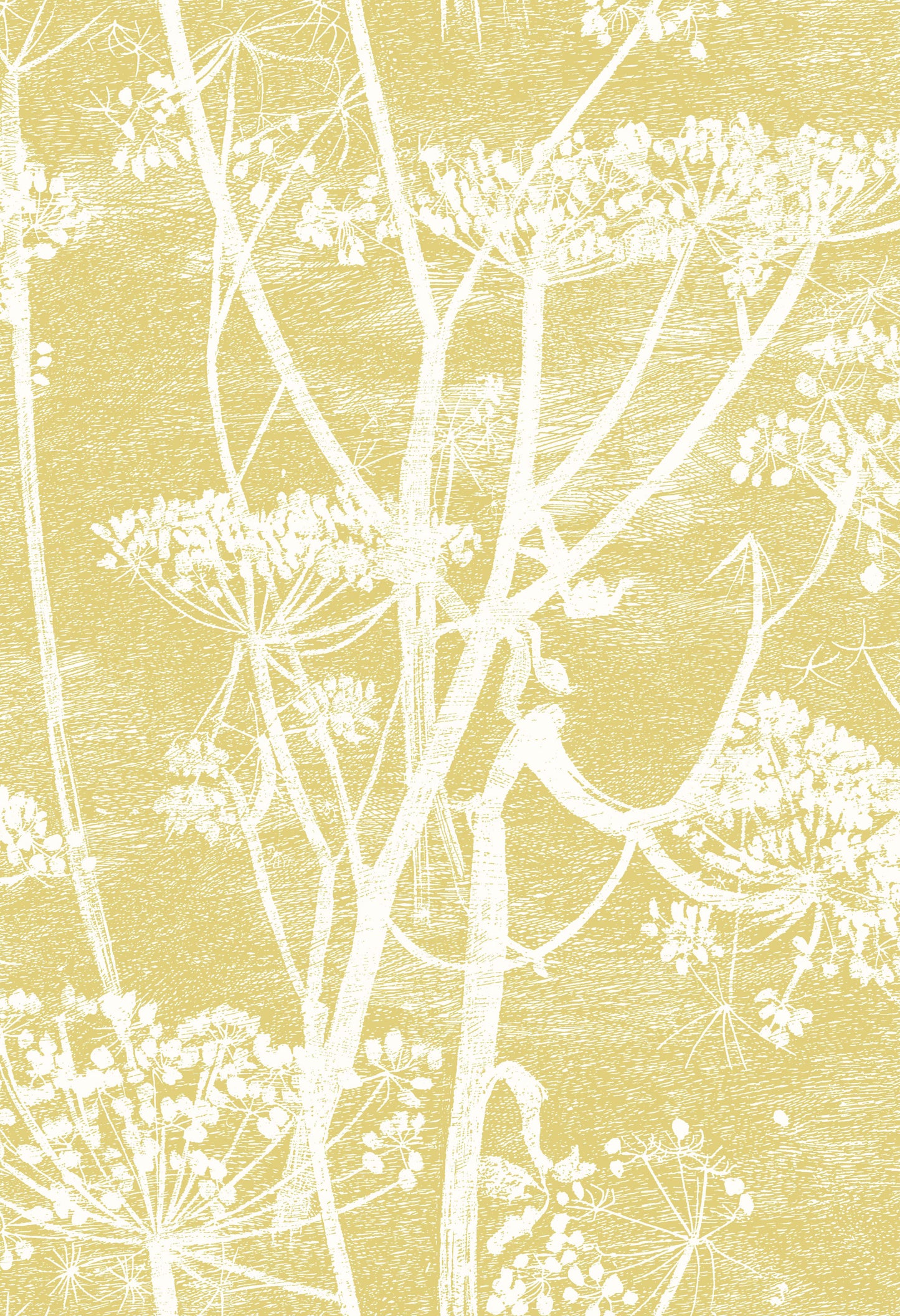Cow Parsley Fabric F111/5020 By Cole & Son