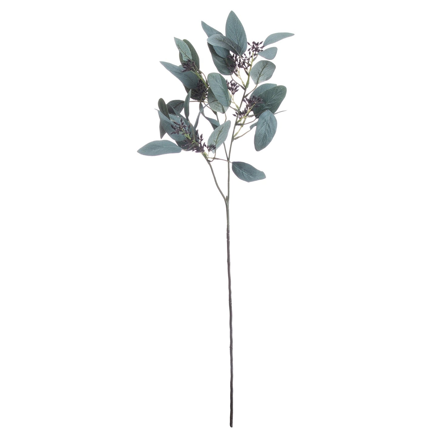 Seeded Eucalyptus Stem (20493) By Hill Interiors
