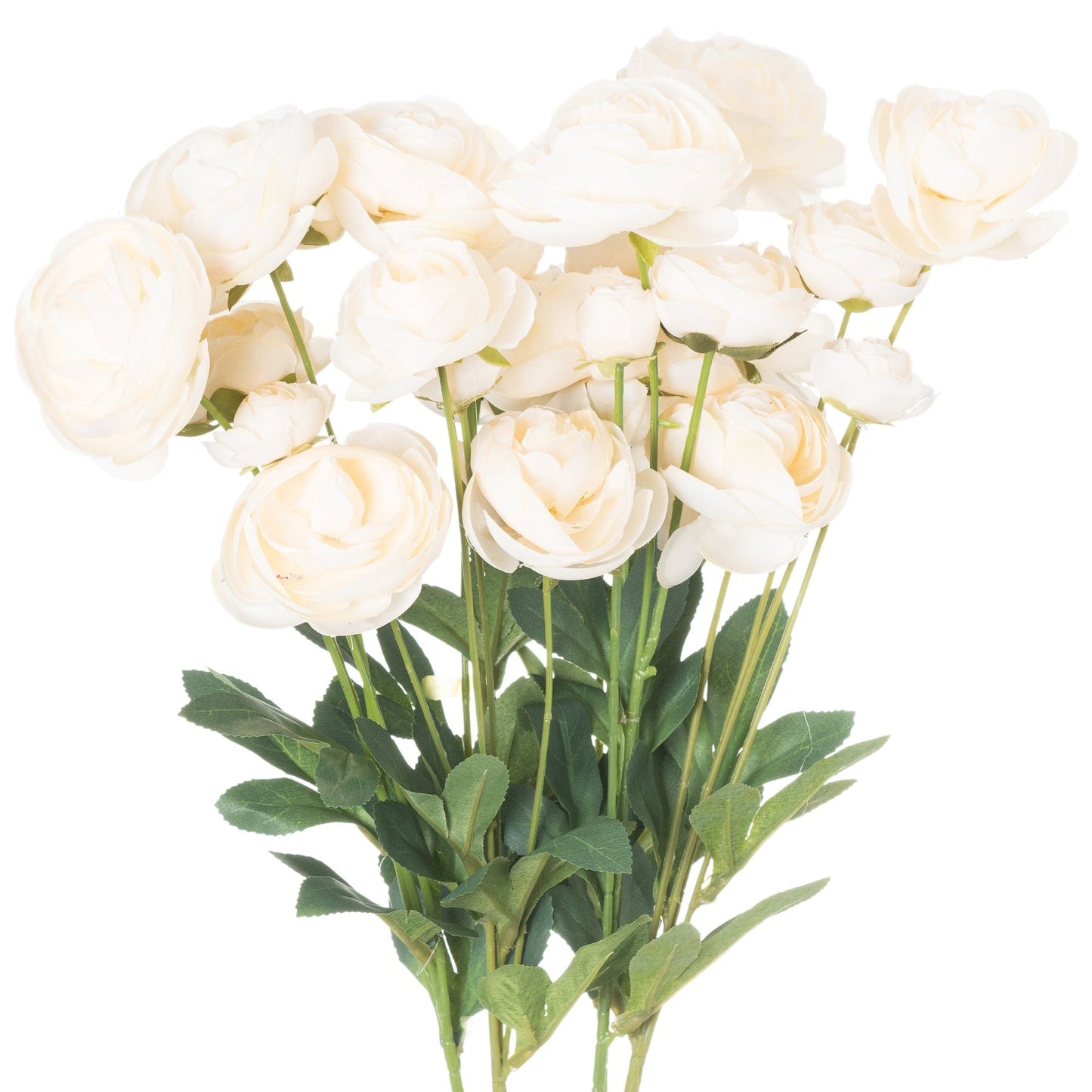 Cream Ranunculus (20537) By Hill Interiors