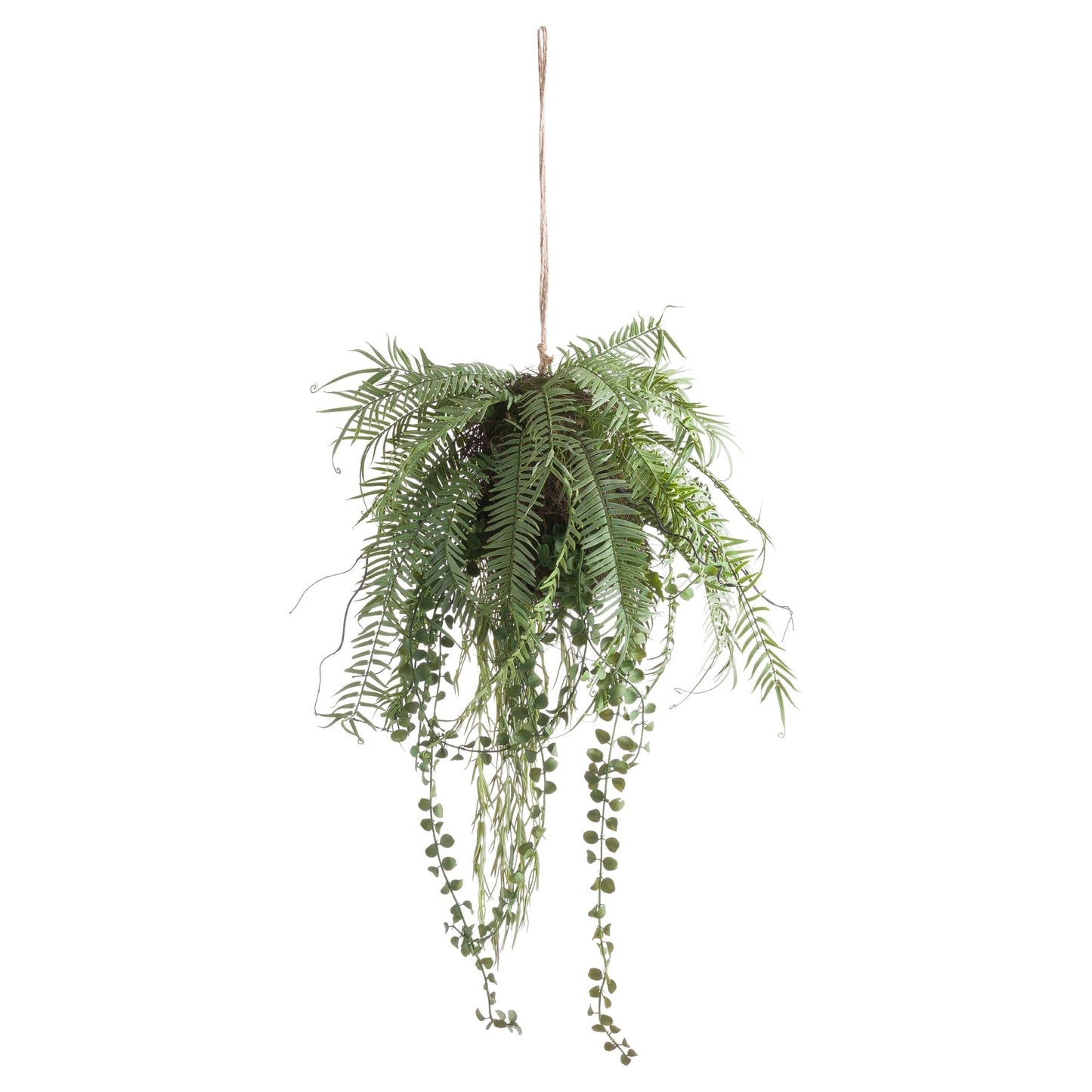 Fern Hanging Basket Arrangement (21231) By Hill Interiors