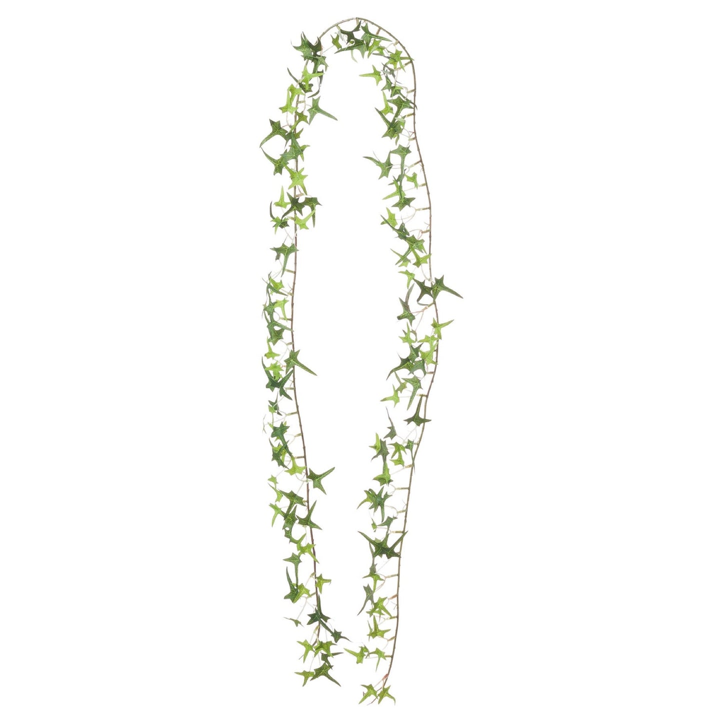Small Ivy Garland (21308) By Hill Interiors