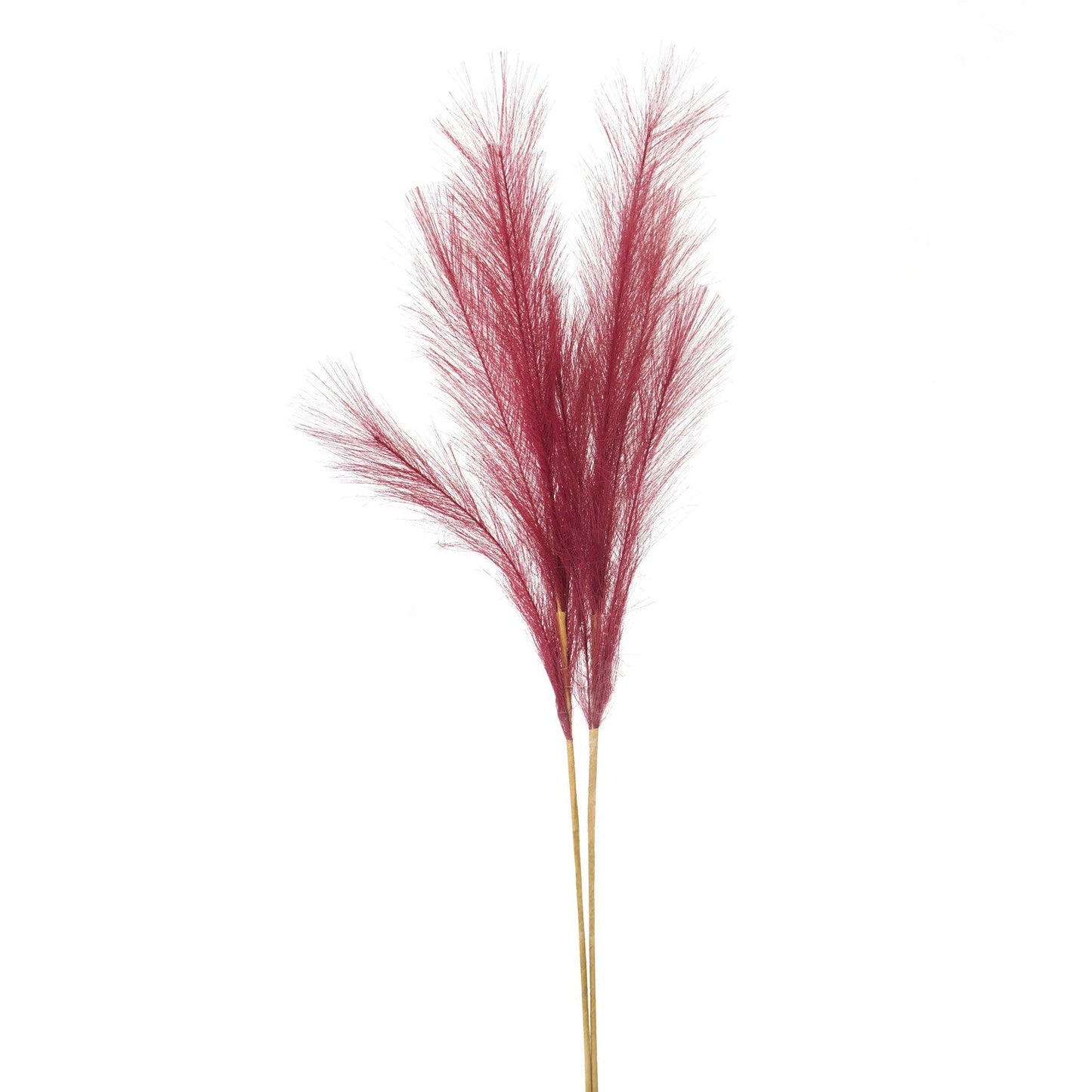 Scarlet Faux Pampas Grass Stem (22103) By Hill Interiors