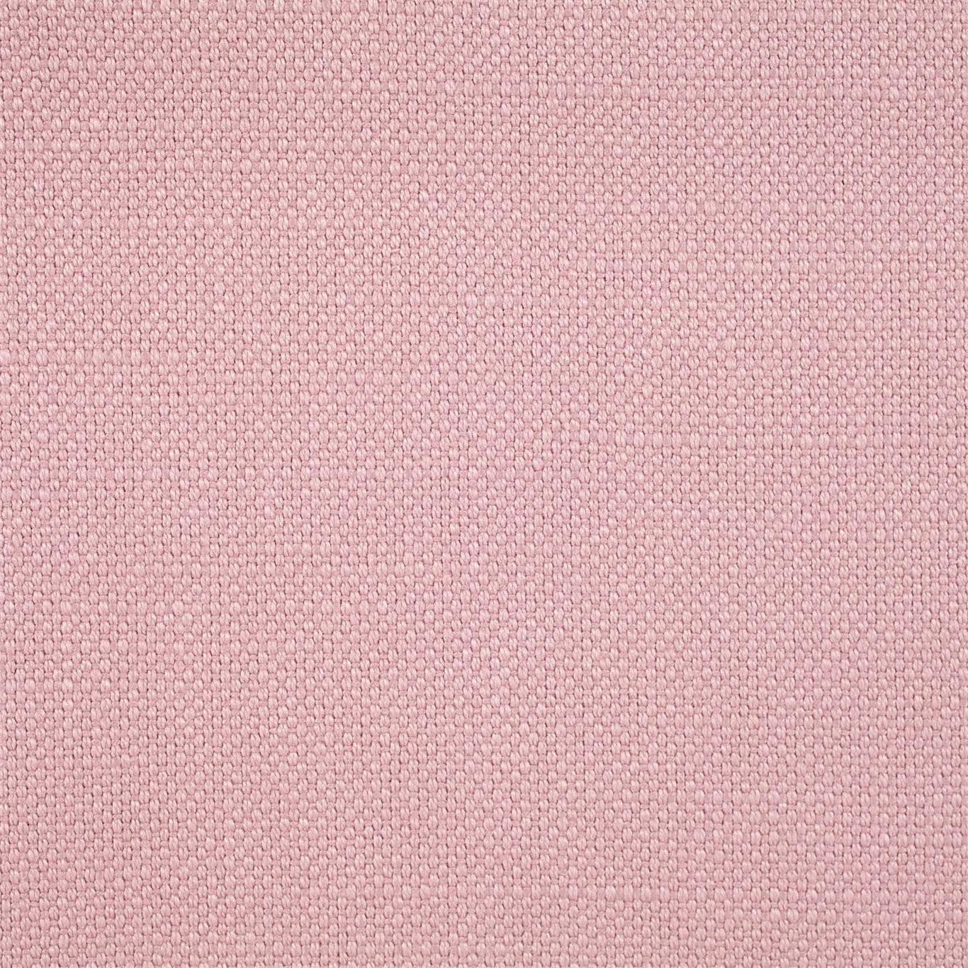 Arley Fabric by Sanderson - DALY245814 - Petal