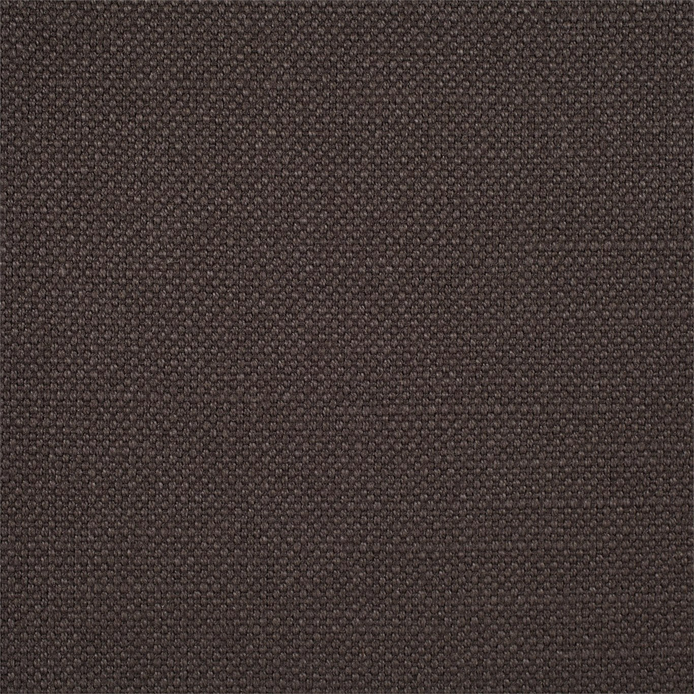 Arley Fabric by Sanderson - DALY245829 - Graphite