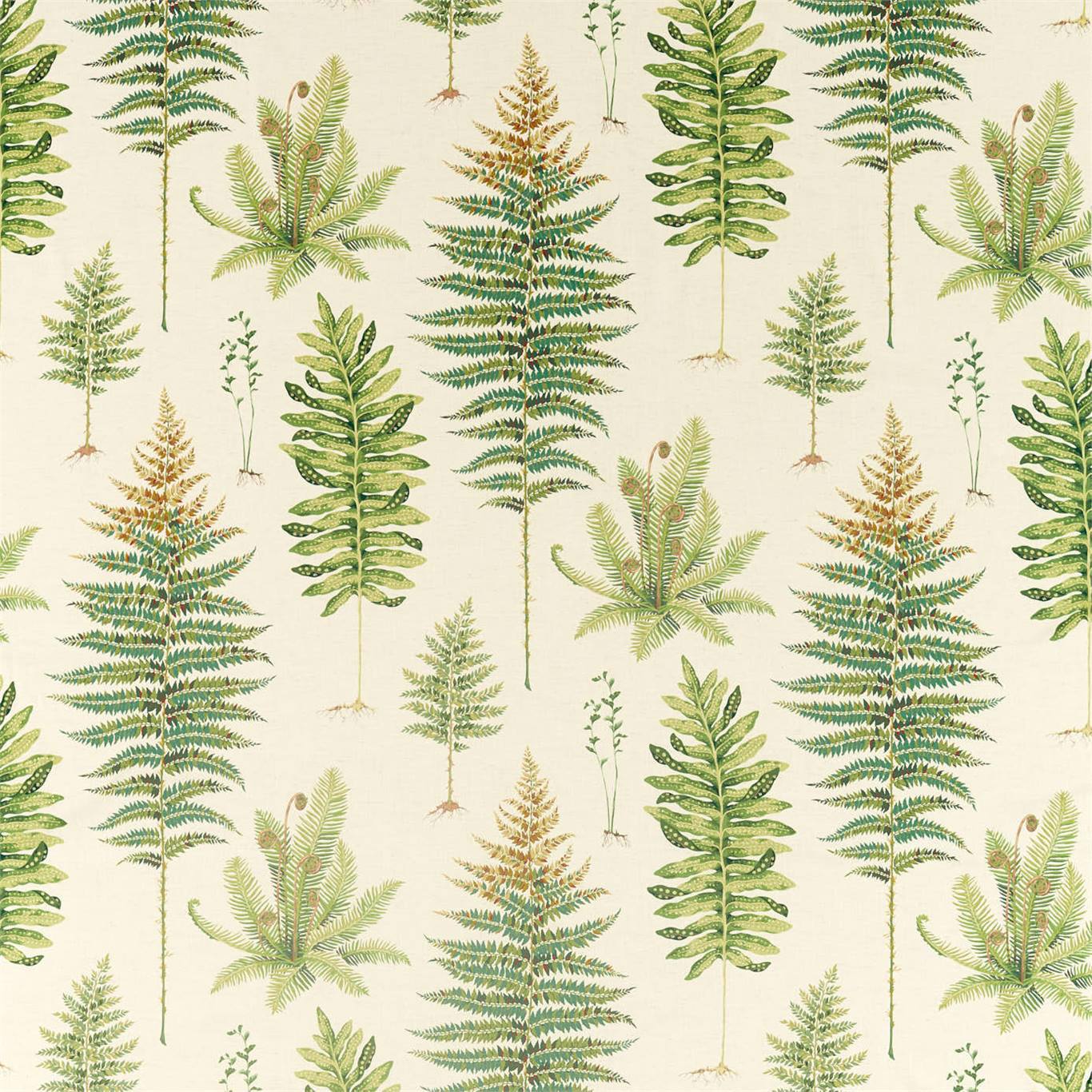 Fernery Fabric by Sanderson
