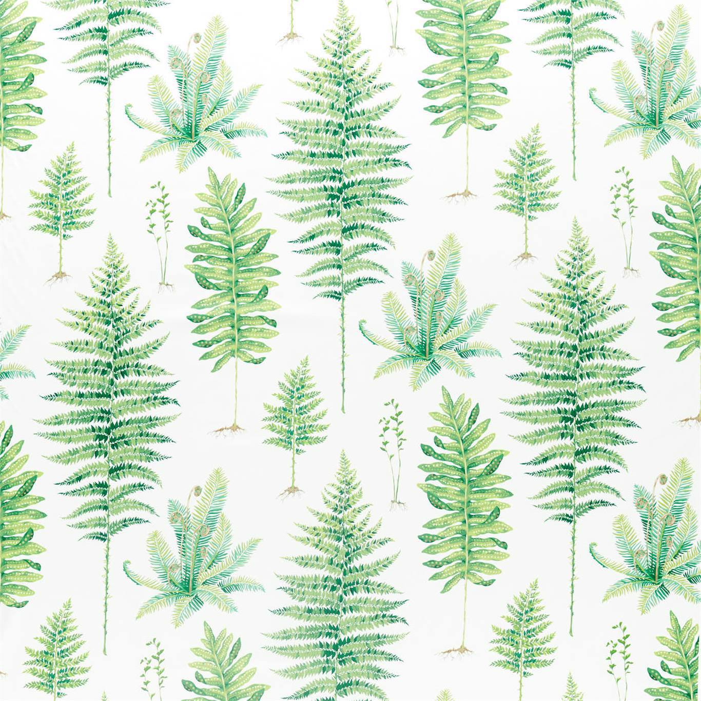 Fernery Fabric by Sanderson