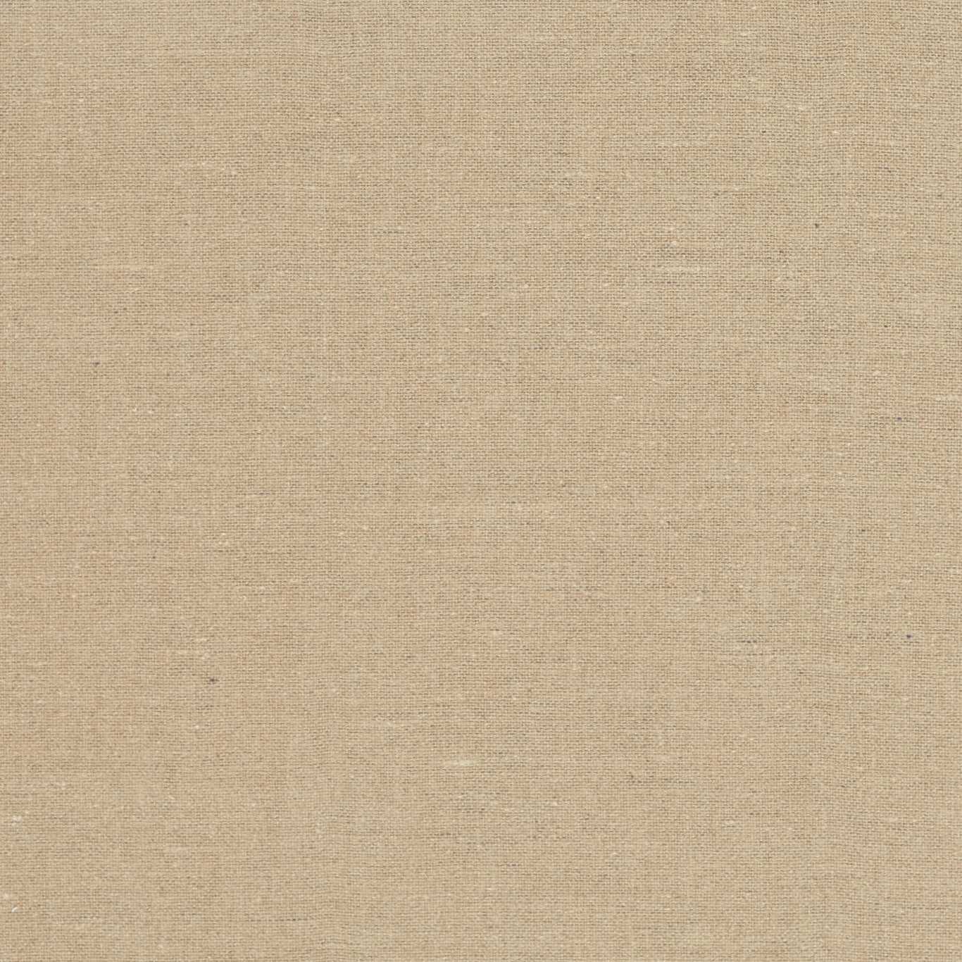 Pure Blesi Weave Fabric by Morris & Co.