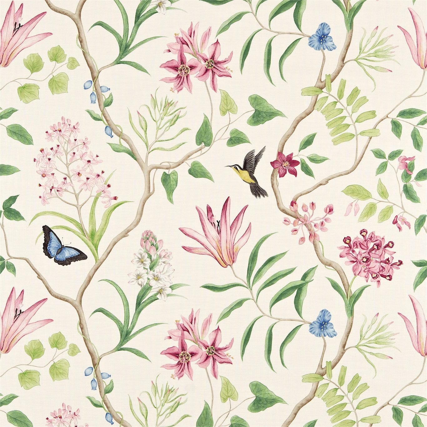 Clementine Fabric by Sanderson - DVOY223298 - Chintz