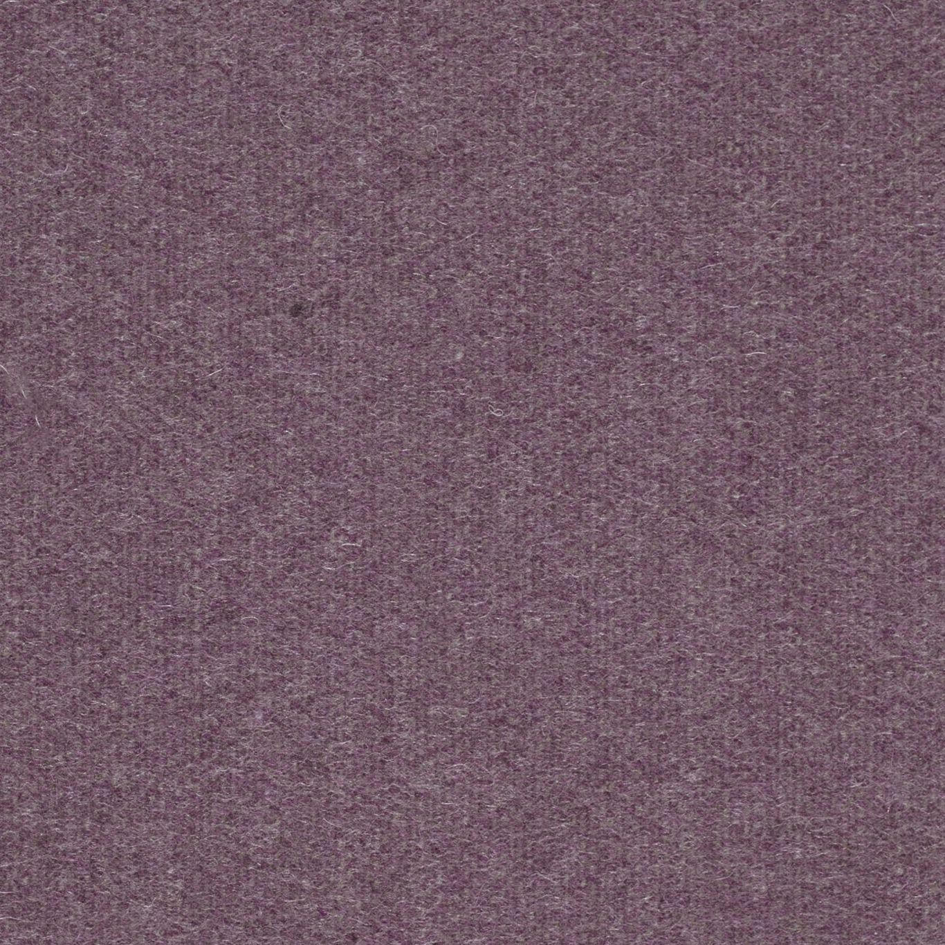 Byron Wool Plain Fabric by Sanderson - DWOL235317 - Thistle