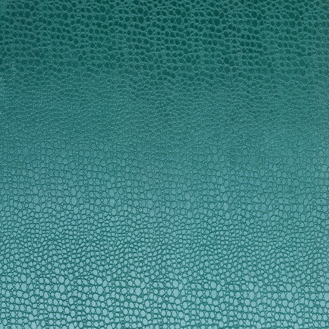 Pulse Fabric by Clarke & Clarke