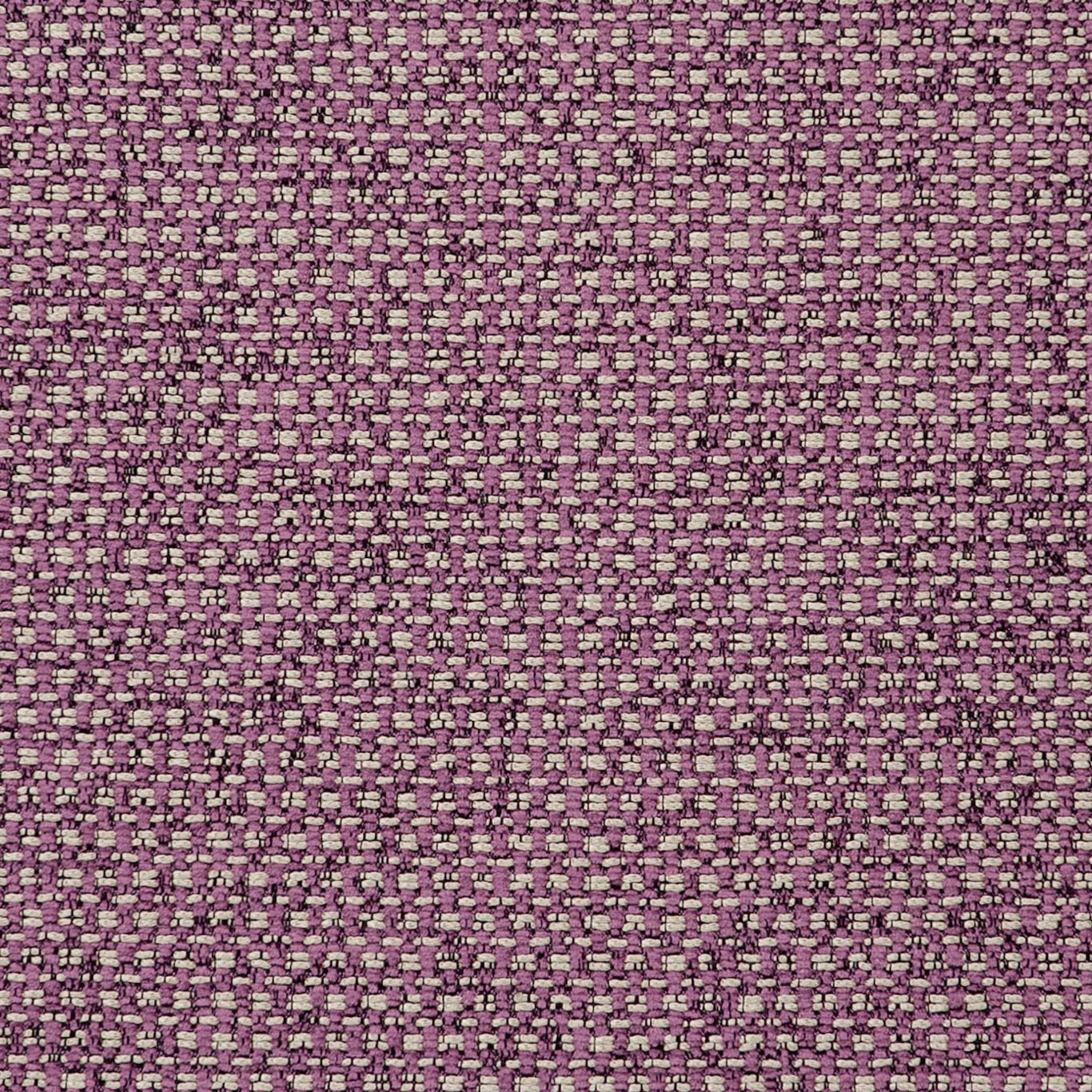 Casanova Fabric by Clarke & Clarke - F0723/13 - Orchid