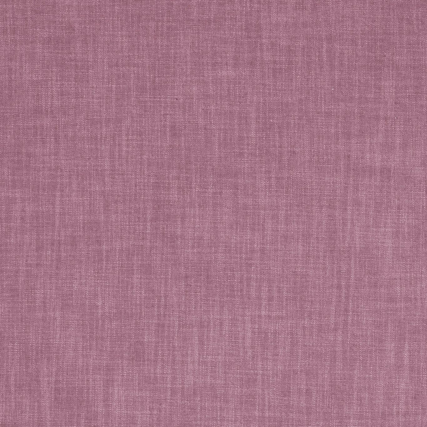 Vienna Fabric by Clarke & Clarke