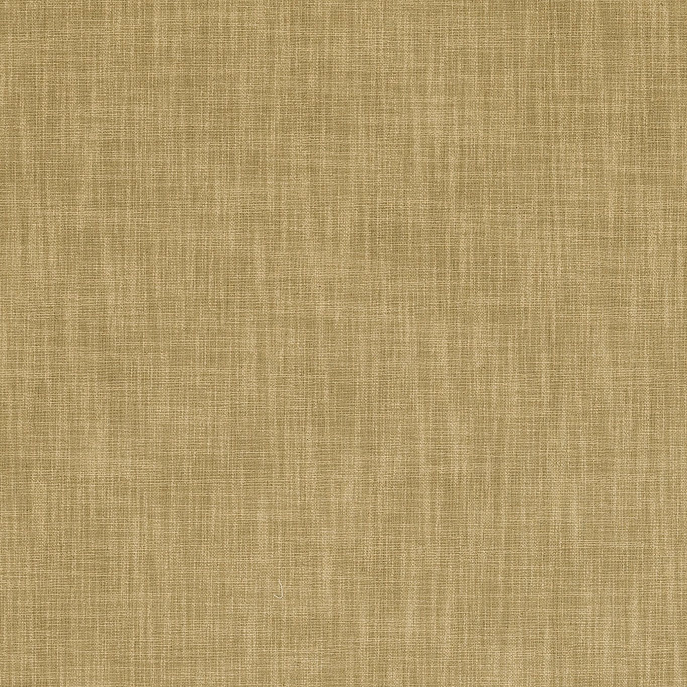 Vienna Fabric by Clarke & Clarke