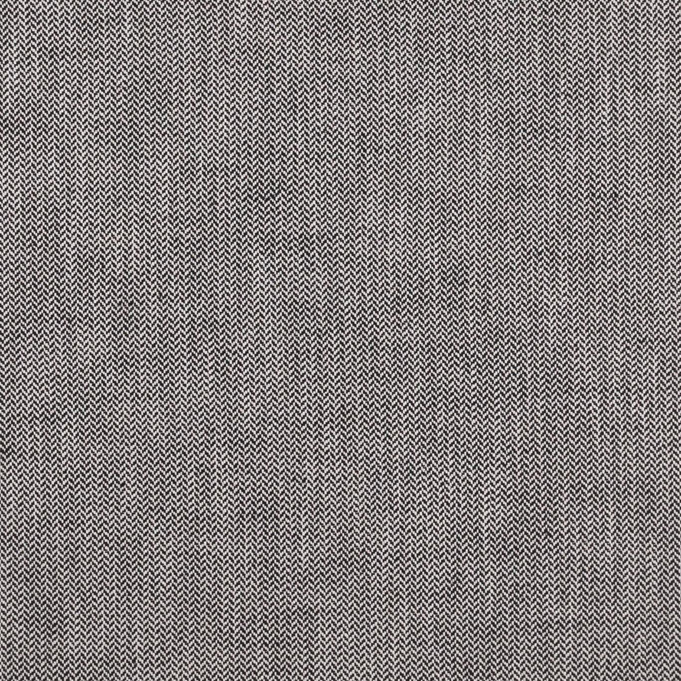Bw1003 Fabric by Clarke & Clarke - F0875/01 - Black/White