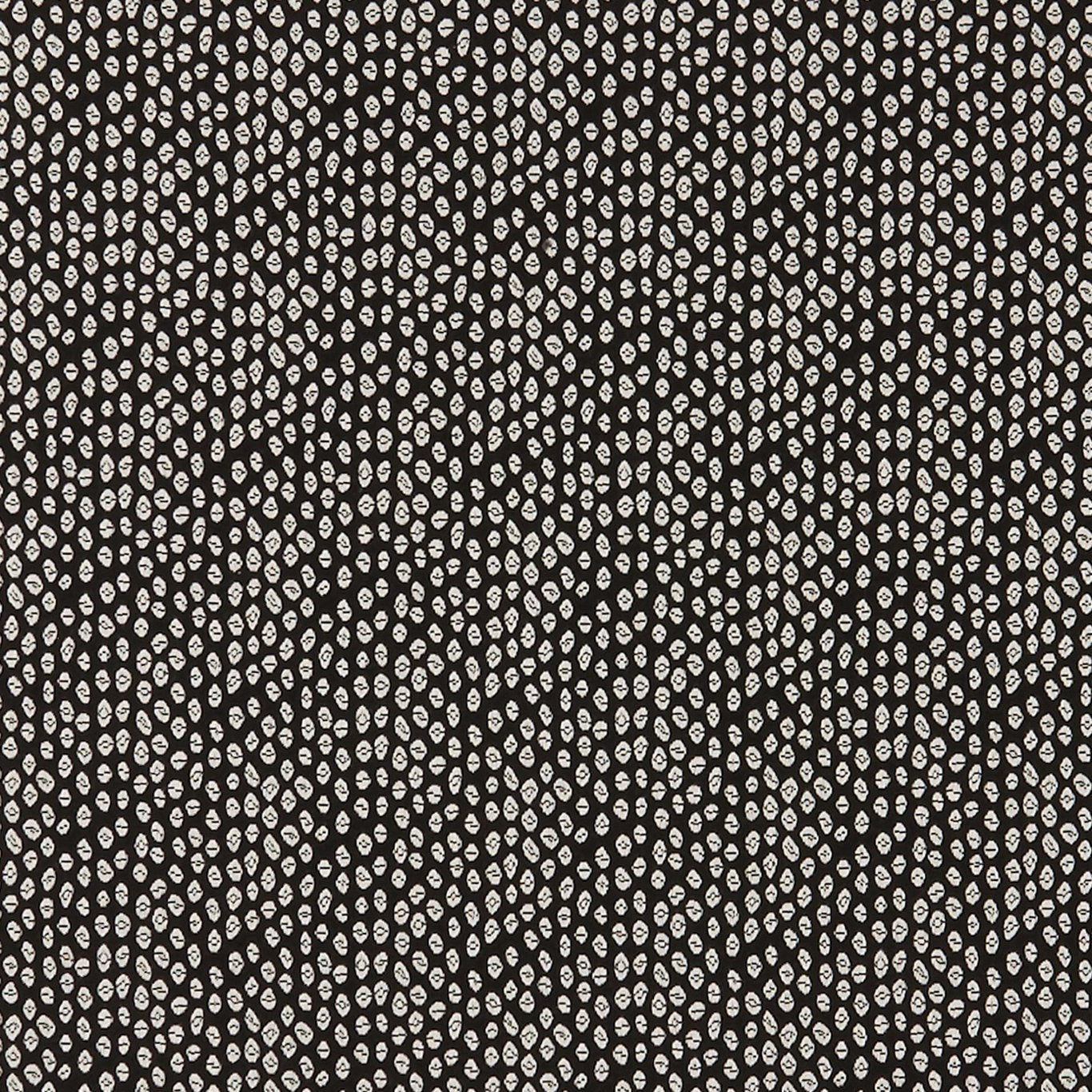 Bw1015 Fabric by Clarke & Clarke - F0888/01 - Black/White