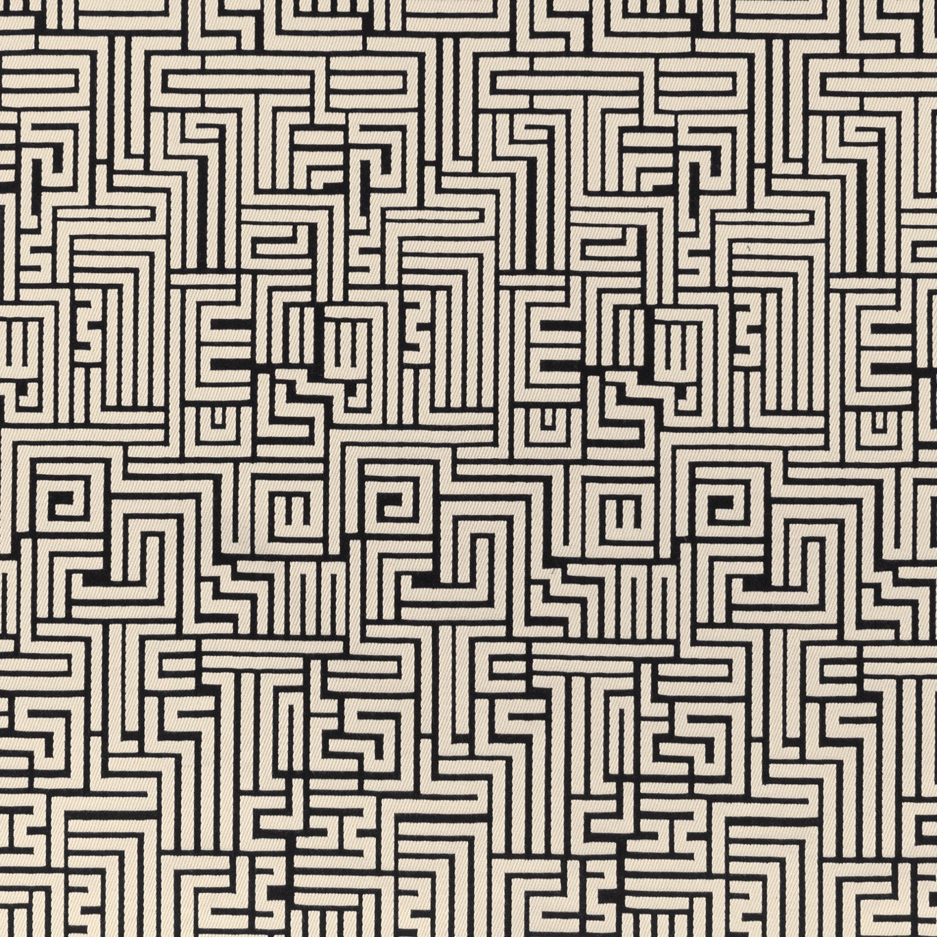 Bw1016 Fabric by Clarke & Clarke - F0889/01 - Black/White