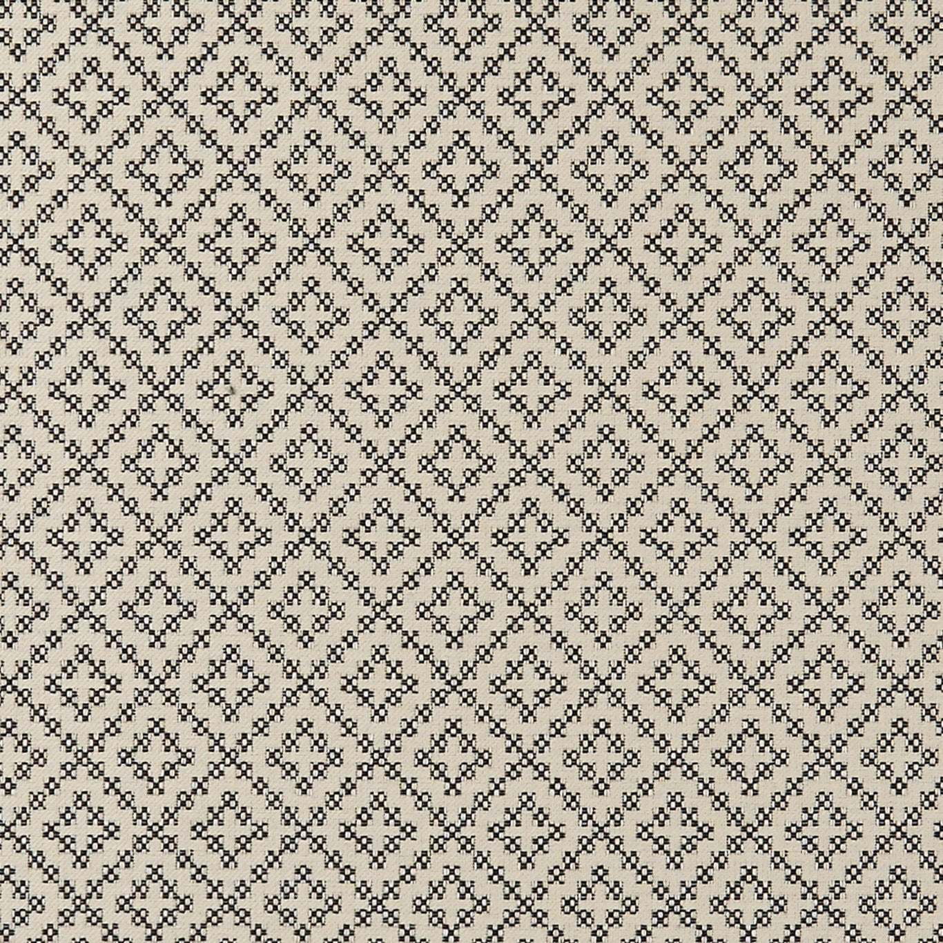 Bw1021 Fabric by Clarke & Clarke - F0894/01 - Black/White