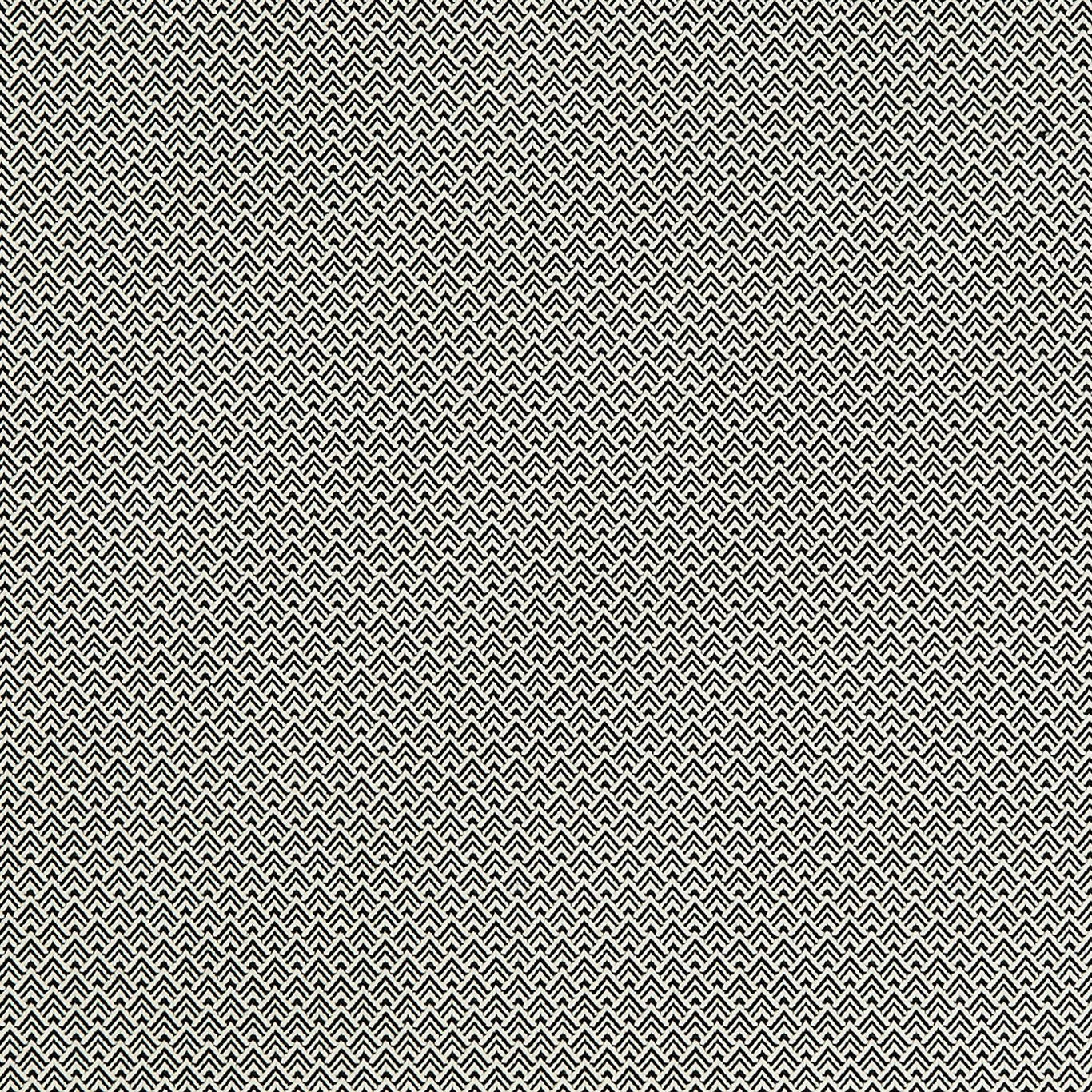 Bw1032 Fabric by Clarke & Clarke - F0905/01 - Black/White
