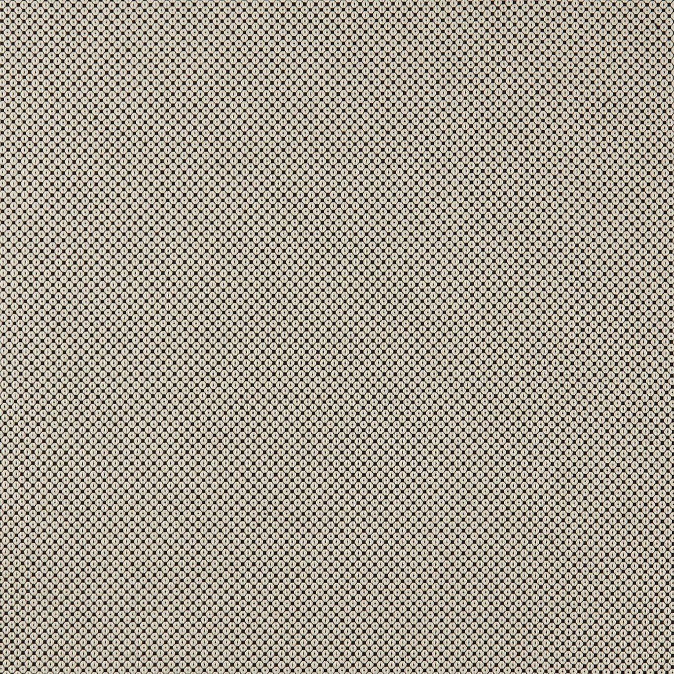 Bw1033 Fabric by Clarke & Clarke - F0906/01 - Black/White