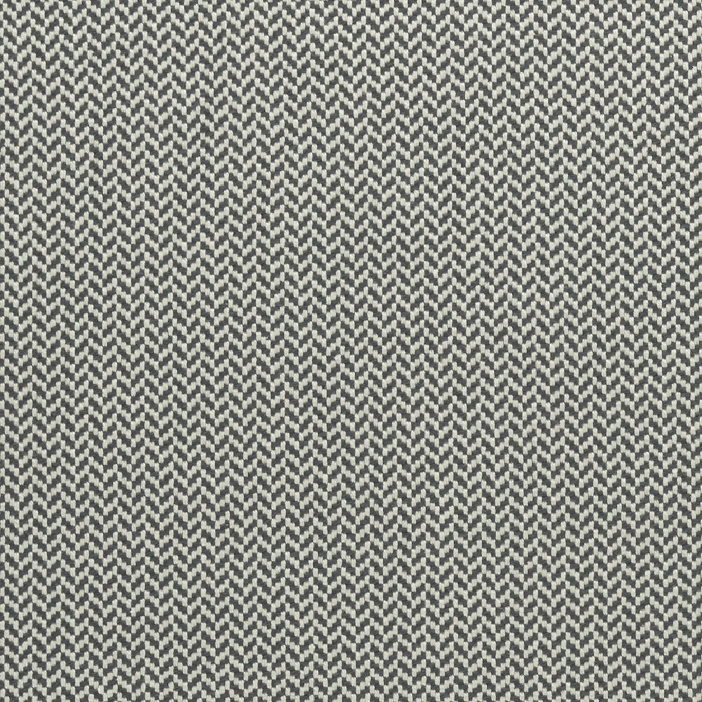 Zalika Fabric by Clarke & Clarke