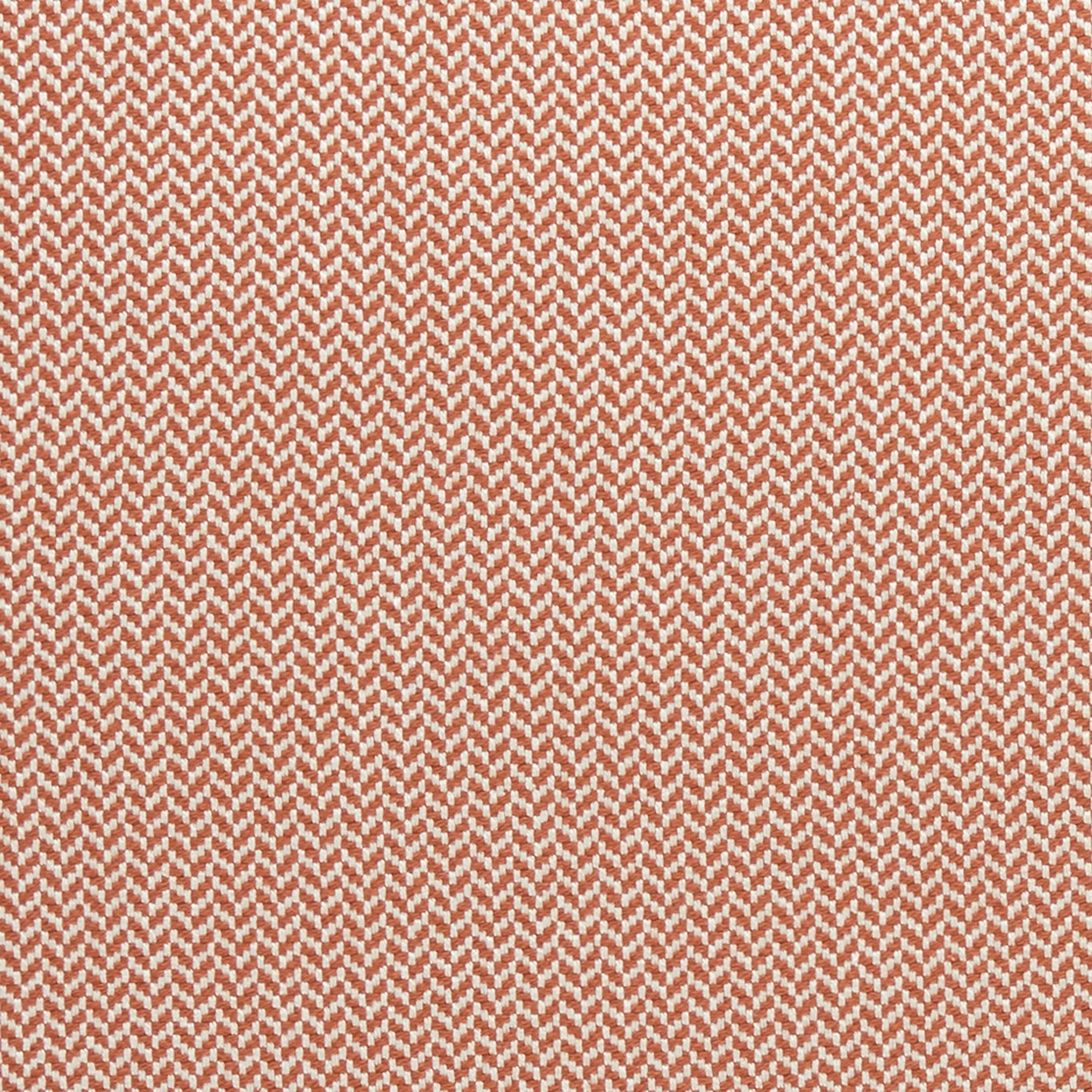 Zalika Fabric by Clarke & Clarke
