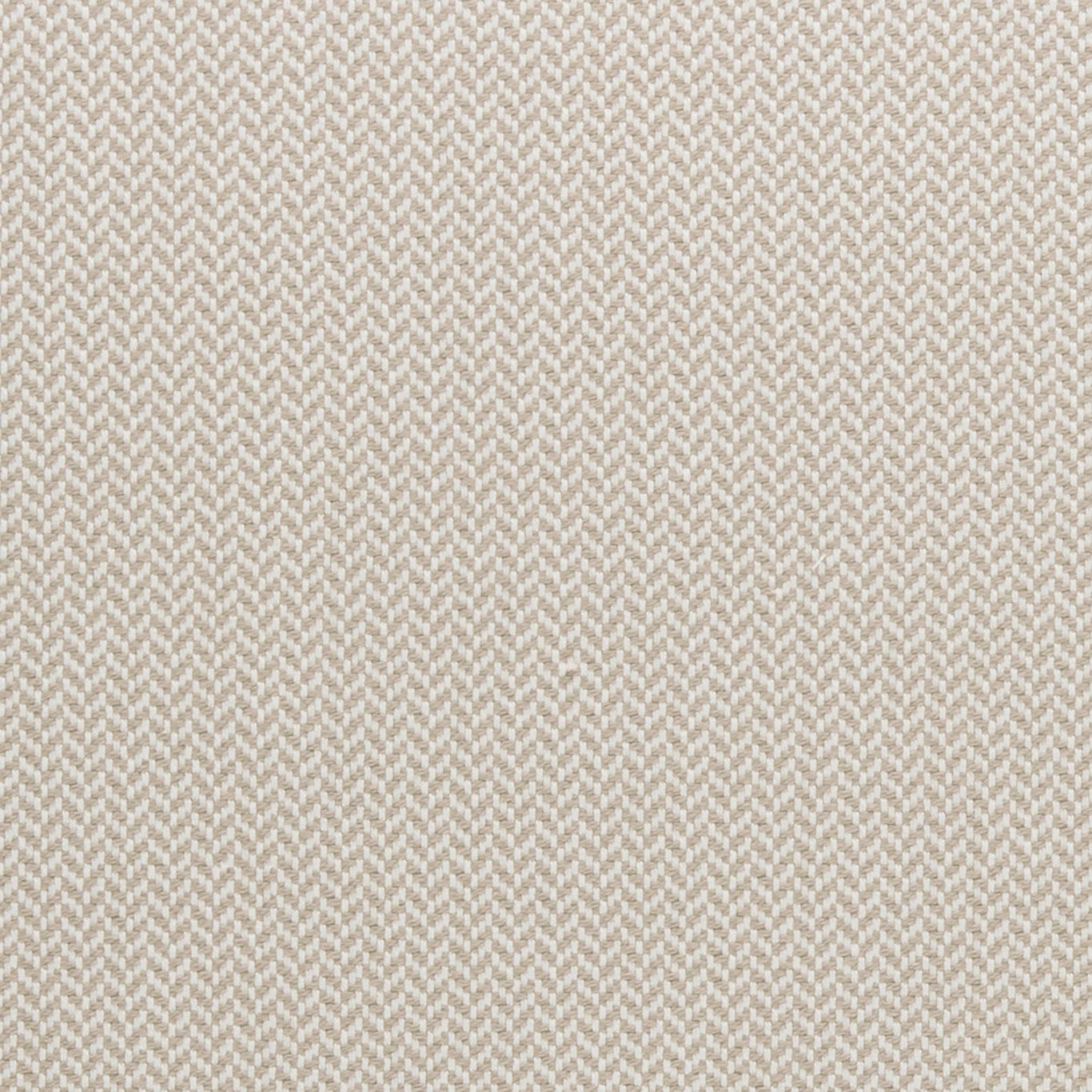 Zalika Fabric by Clarke & Clarke