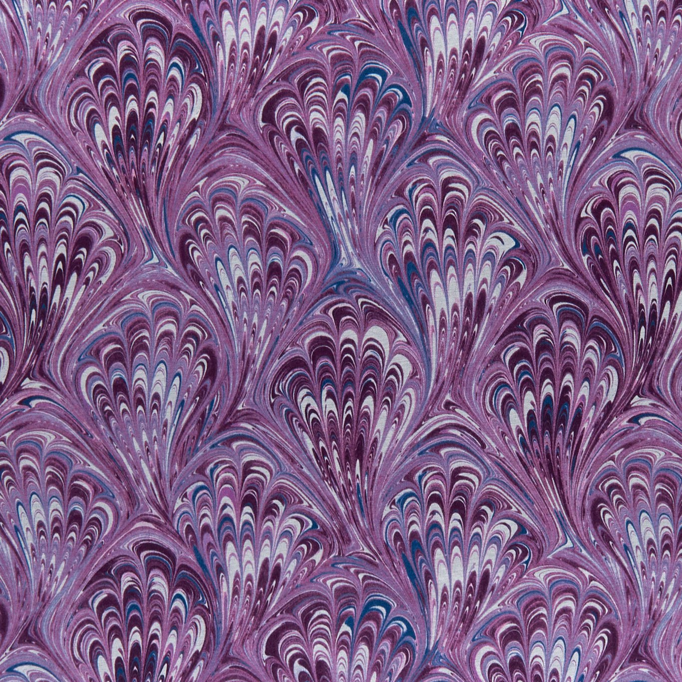Pavone Fabric by Clarke & Clarke