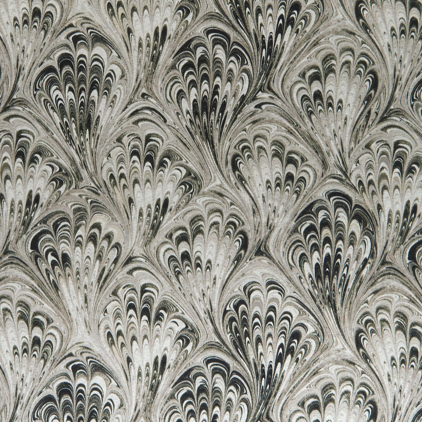 Pavone Fabric by Clarke & Clarke