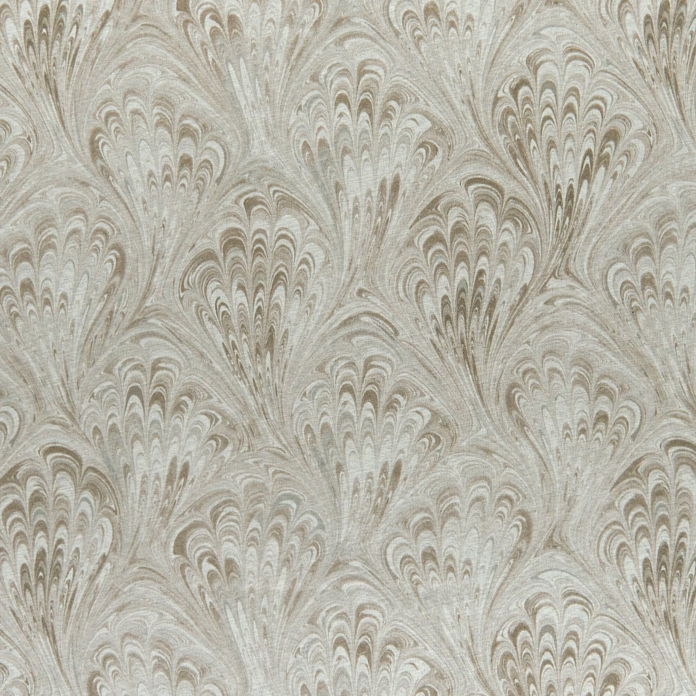 Pavone Fabric by Clarke & Clarke