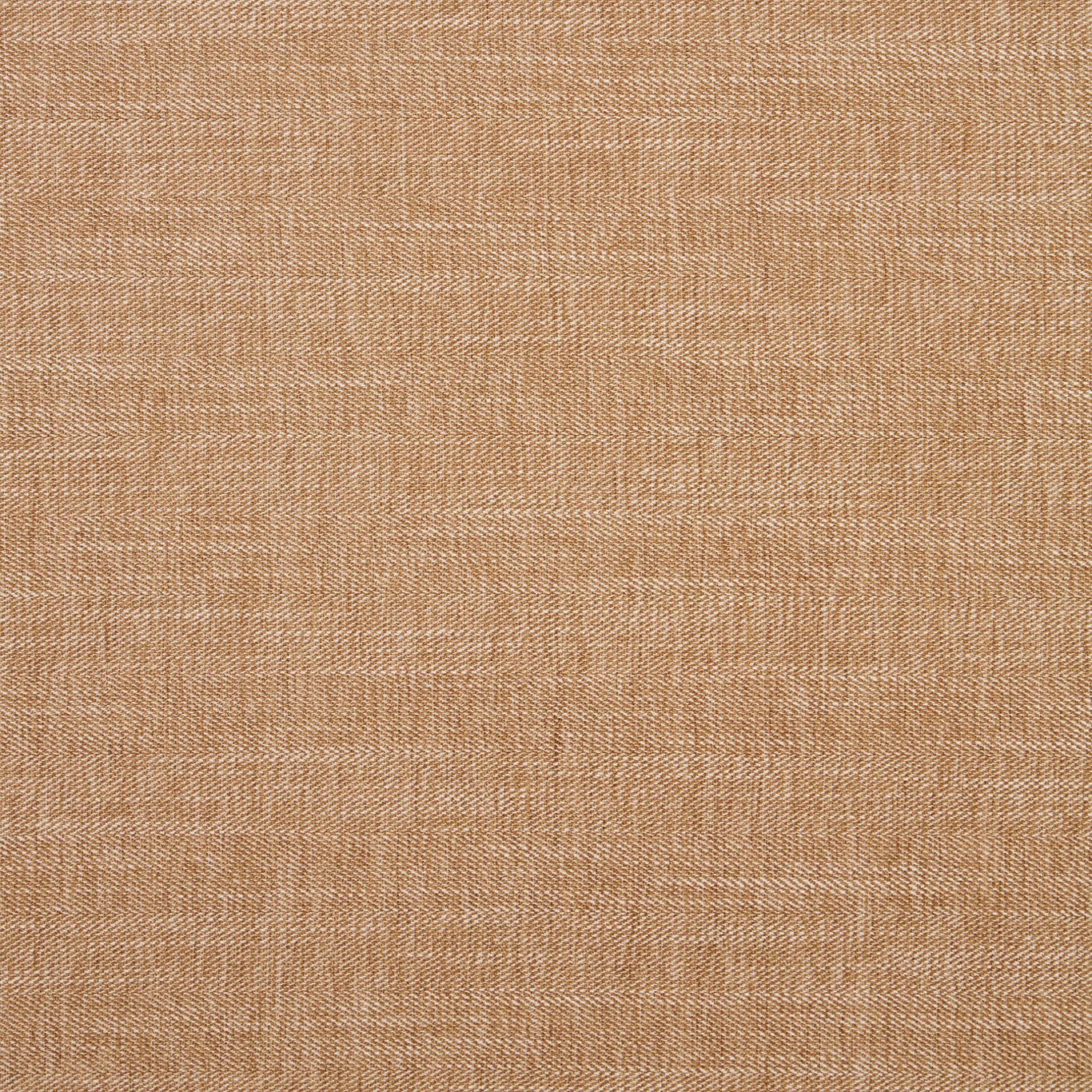Moray Fabric by Clarke & Clarke