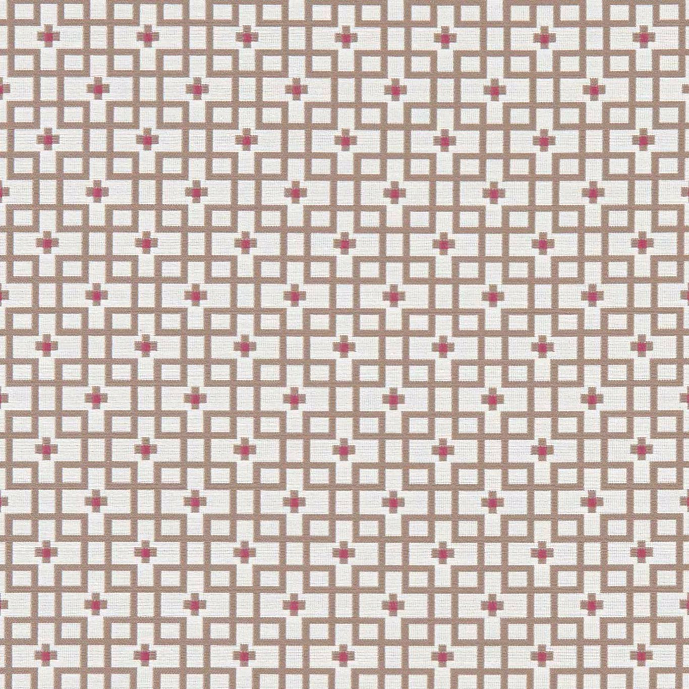 Axis Fabric by Clarke & Clarke - F1126/05 - Raspberry