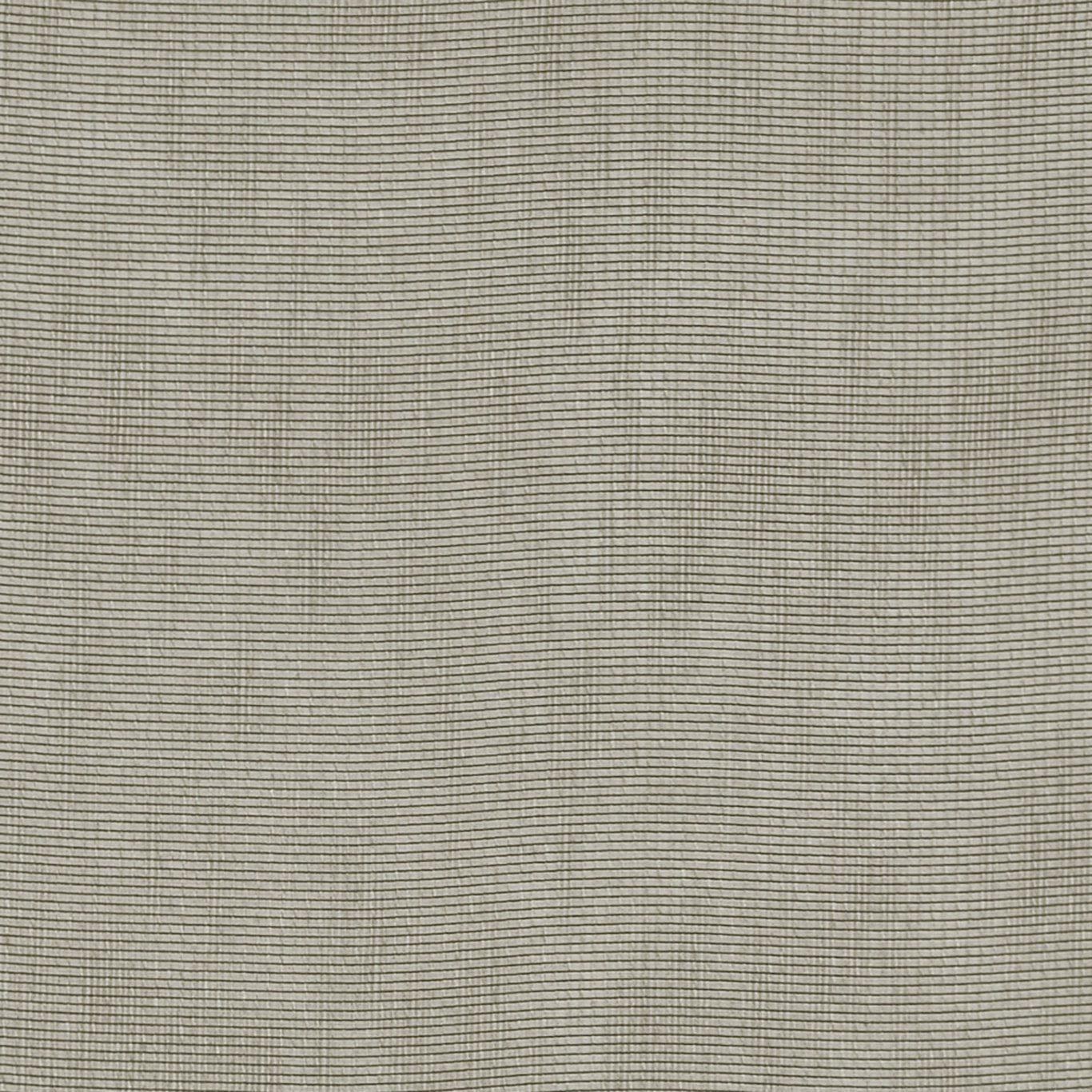 Maddox Fabric by Clarke & Clarke